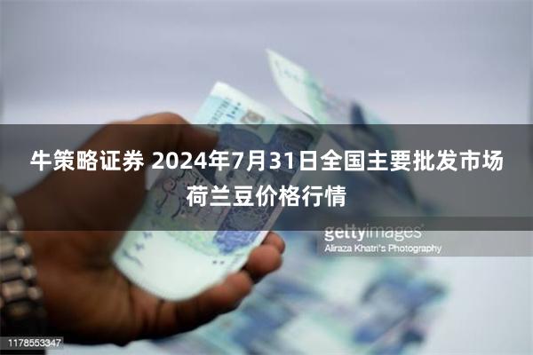 牛策略证券 2024年7月31日全国主要批发市场荷兰豆价格行情