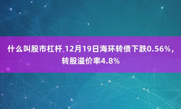 什么叫股市杠杆 12月19日海环转债下跌0.56%，转股溢价率4.8%