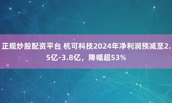 正规炒股配资平台 杭可科技2024年净利润预减至2.5亿-3.8亿，降幅超53%