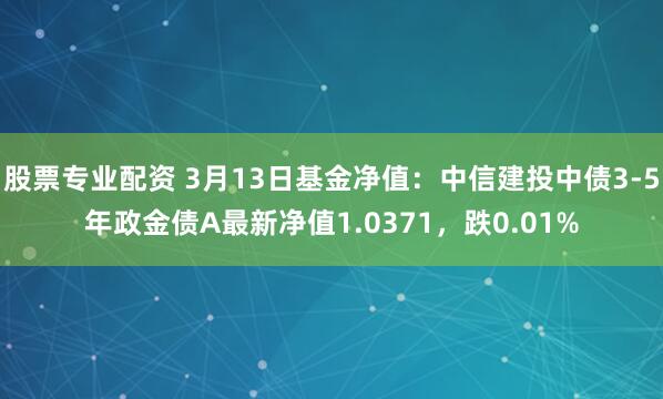 股票专业配资 3月13日基金净值：中信建投中债3-5年政金债A最新净值1.0371，跌0.01%